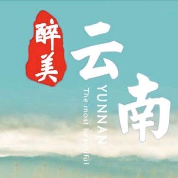 肖哥看世界