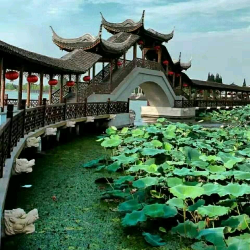 斯文