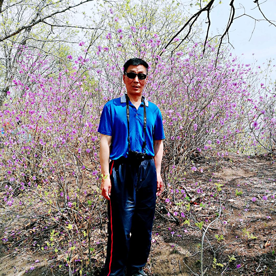 香山枫叶
