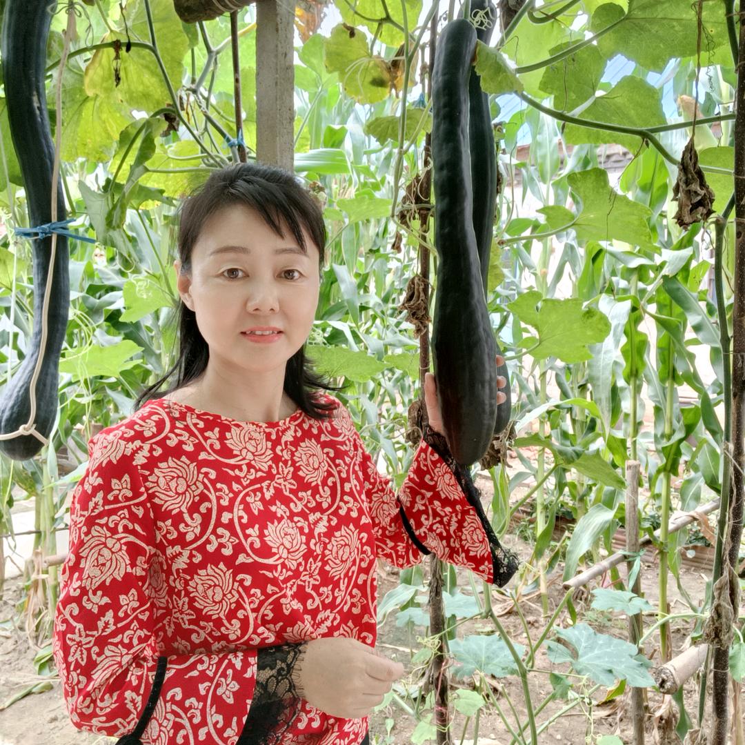 清玥