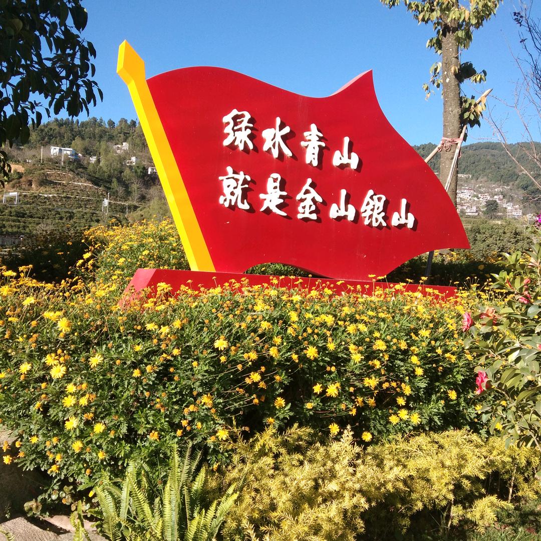 用户9056696394772