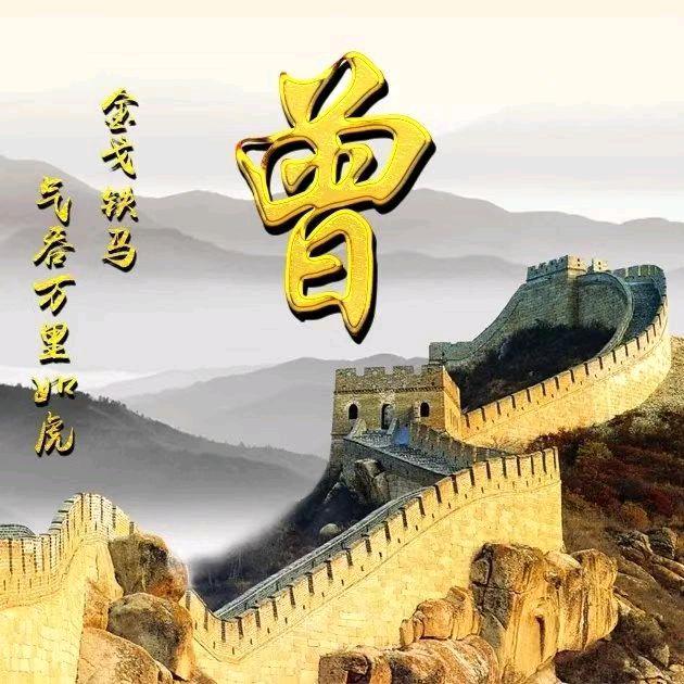 孤独的雄鹰
