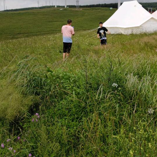 🥀এ᭄毁了ꦿ心的💔葬了爱ོ࿐ᩚ