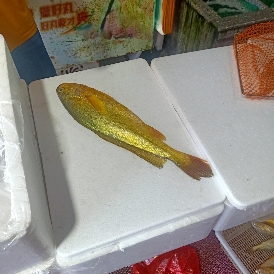 胡