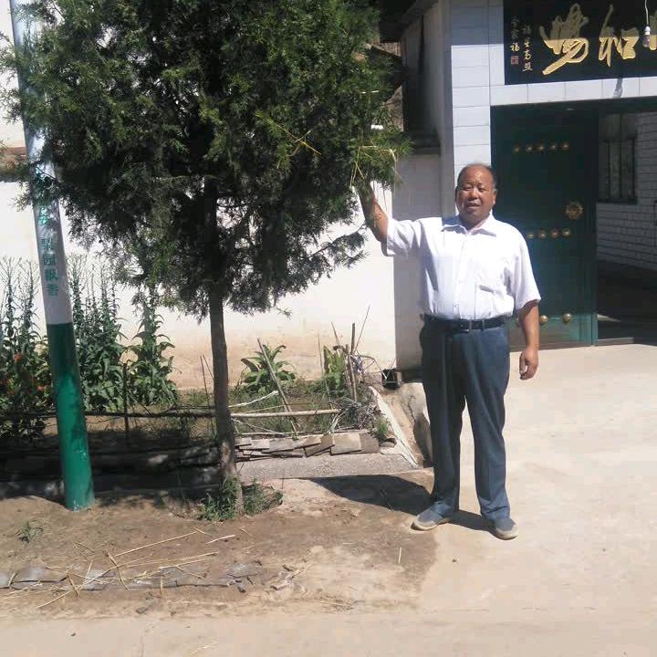 展翅飞翔