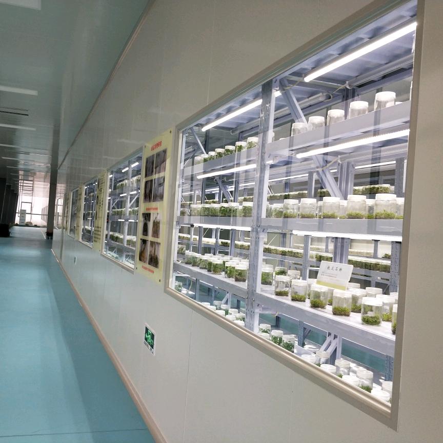 无锡顺航净化工程有限公司