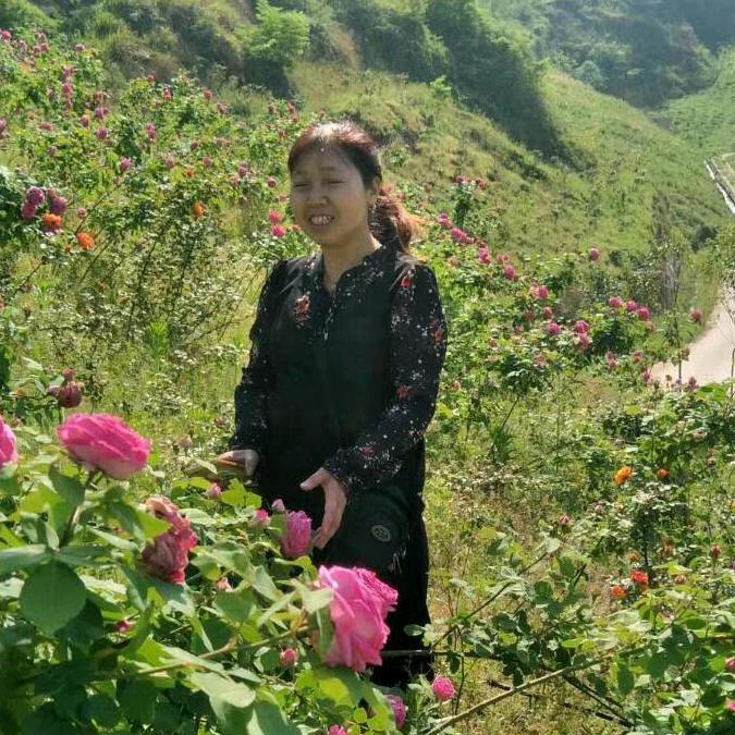 王芳(长虹厨卫)