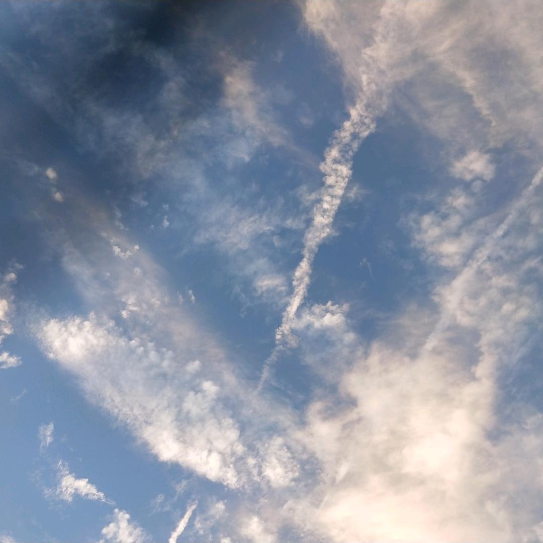 郑州白沙五星钻豹