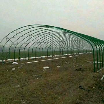 温室养殖大棚（专业搭建）
