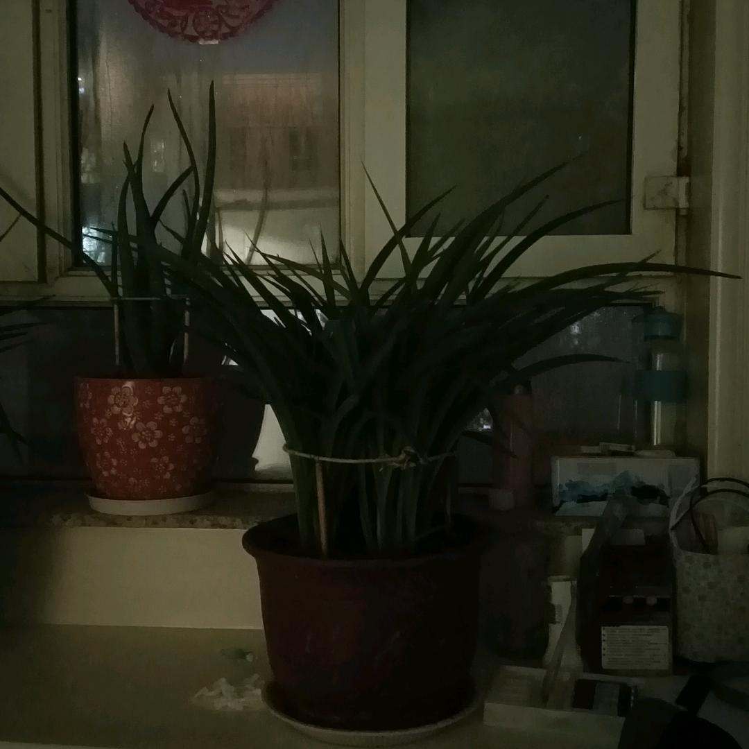 钟爱一生