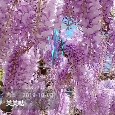 @志哥