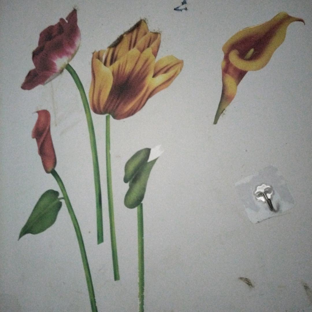 唱歌很漂亮又美观