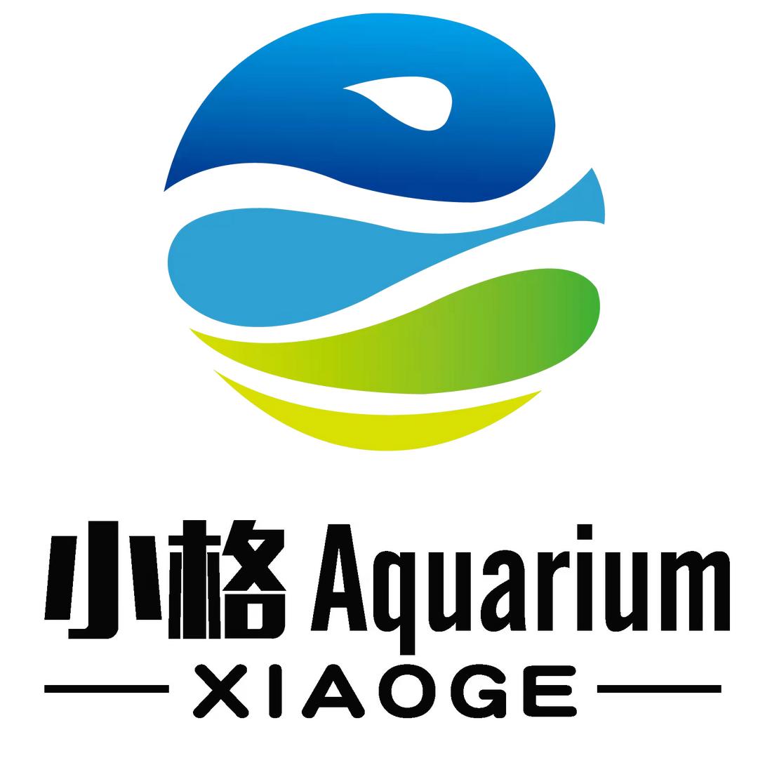 小格水族