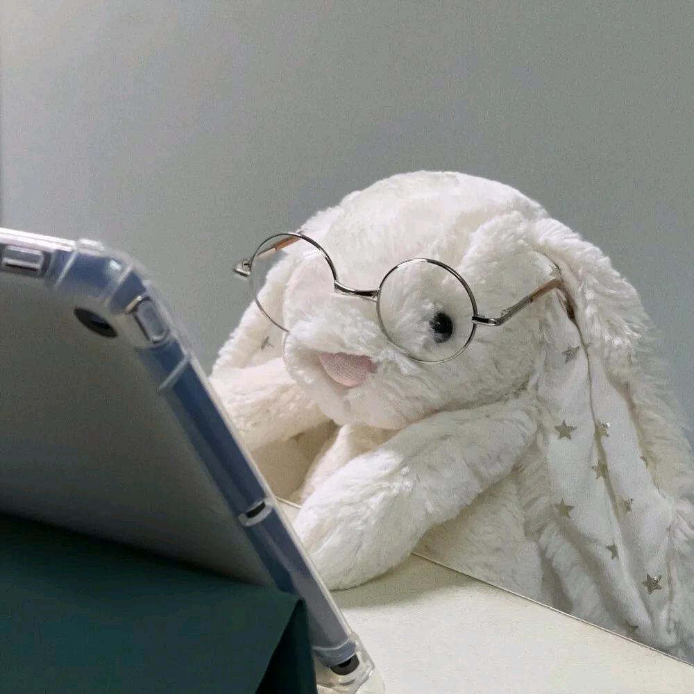 小小月牙🌙