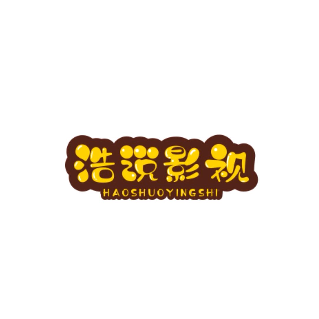 浩说影视