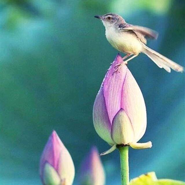 叫我阿康