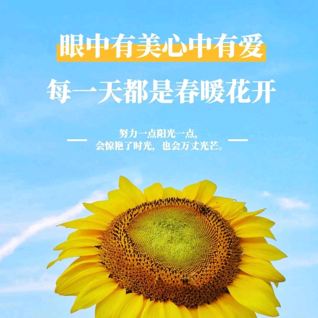 闪耀@专业平板迷信纸厂