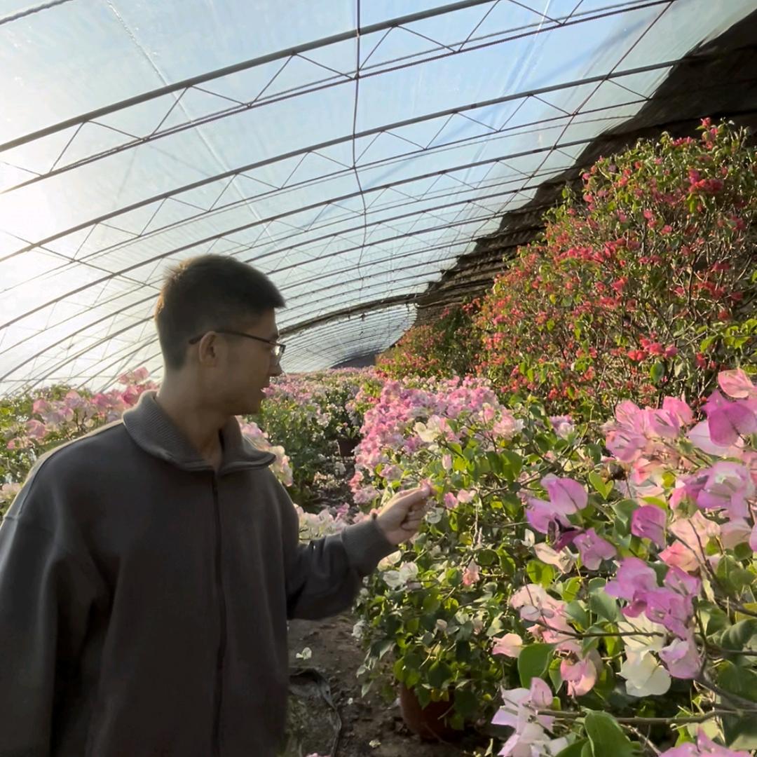 白同学的花园