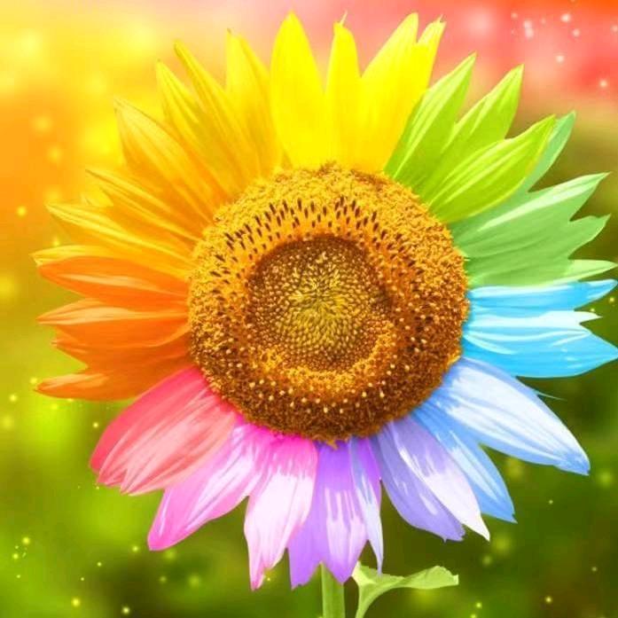 郑州万邦黄豆批发大全