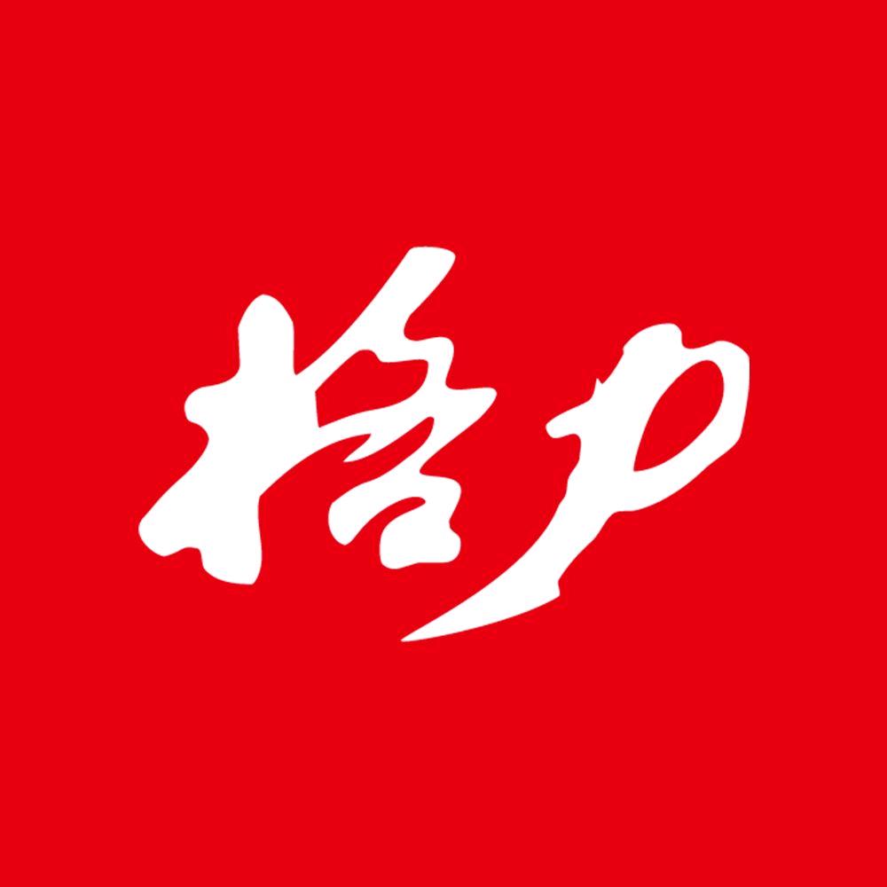 格力电器(新天国际店)