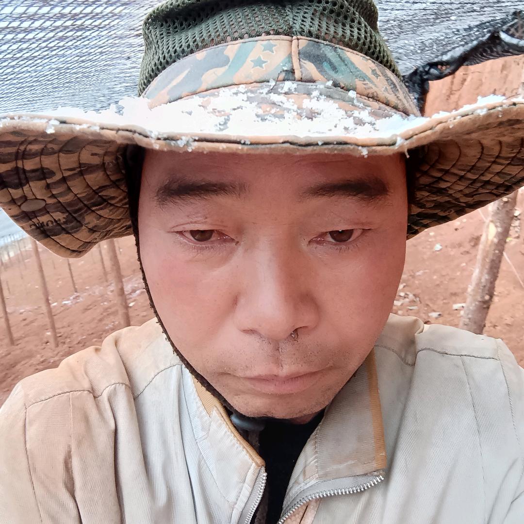 没了当年风范
