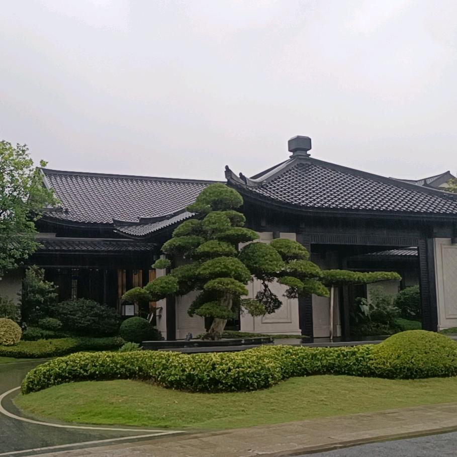 一帆风顺的宝