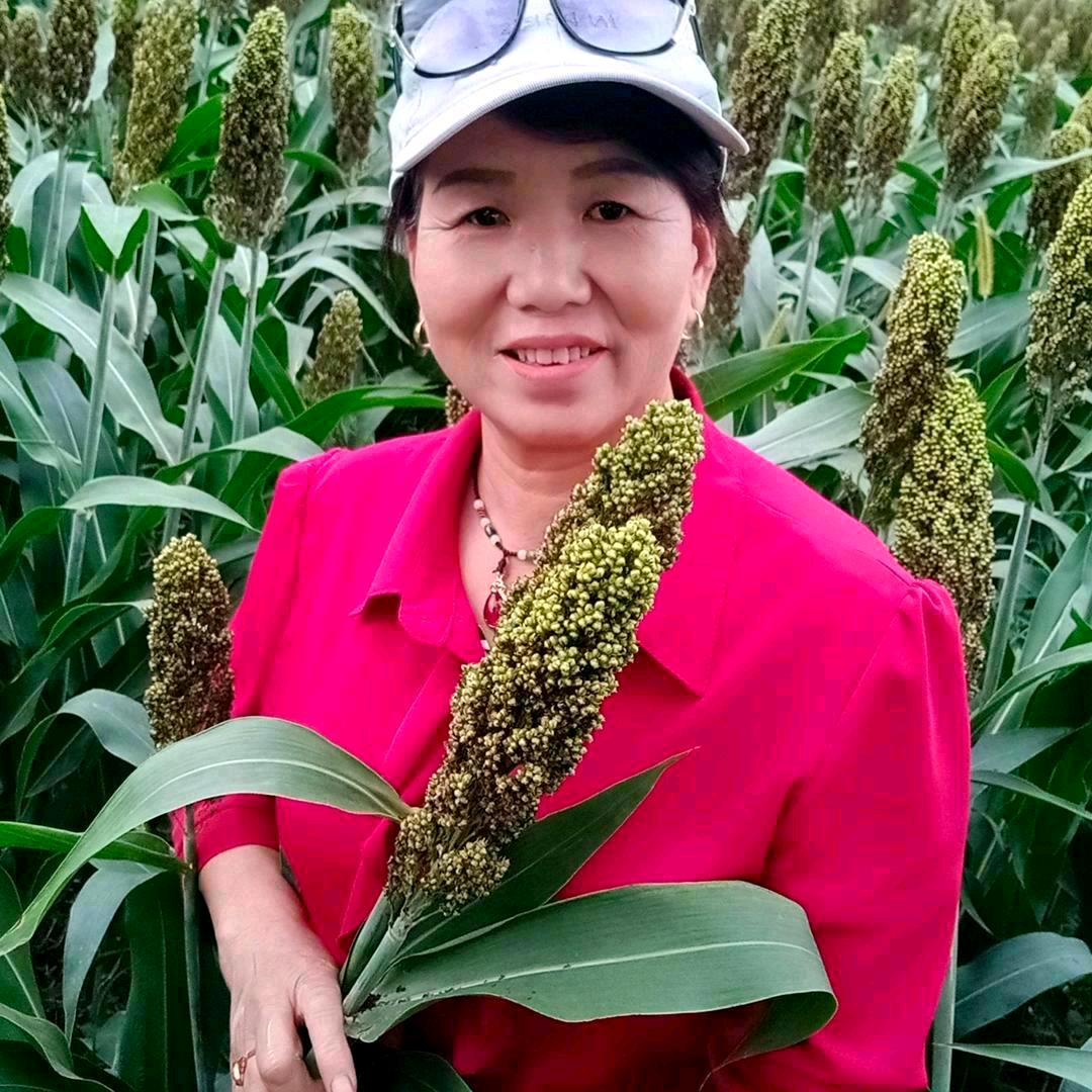 紫微(拒绝连赞)