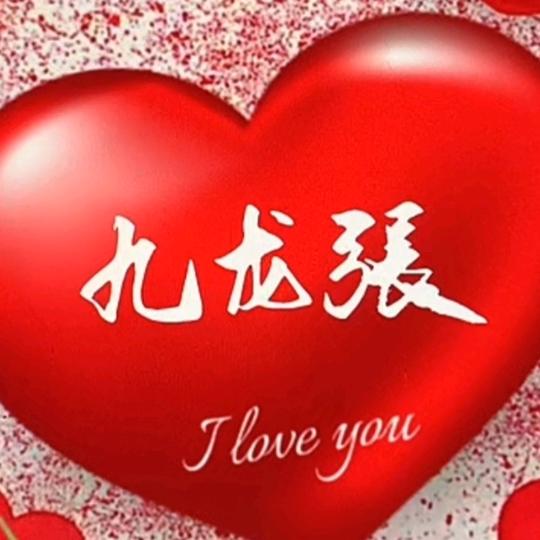 九龙张