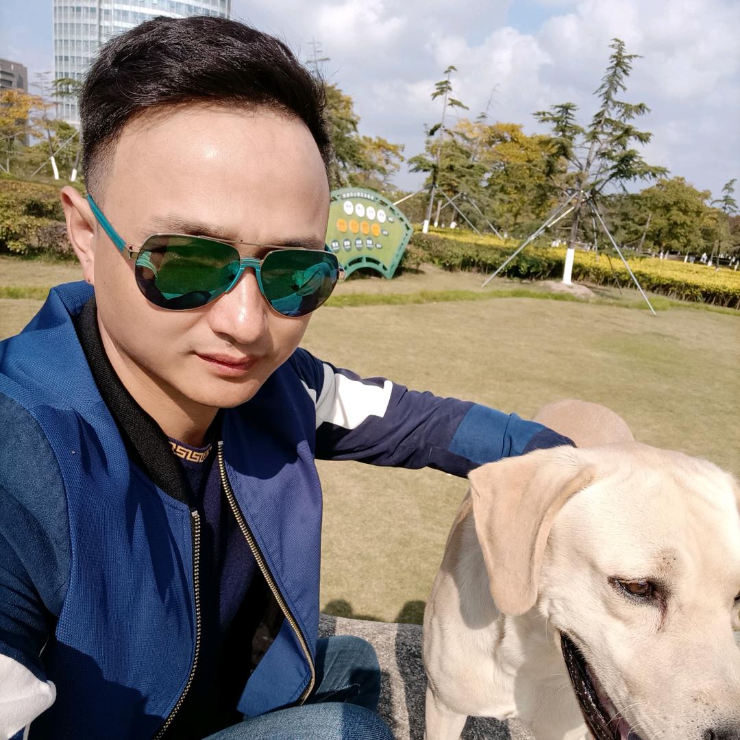 四少爱玩狗
