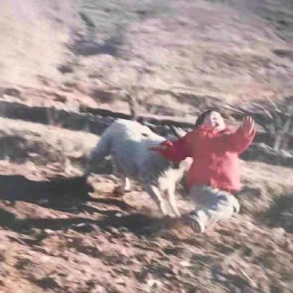 𝑚𝑒𝑙𝑜𝑛.