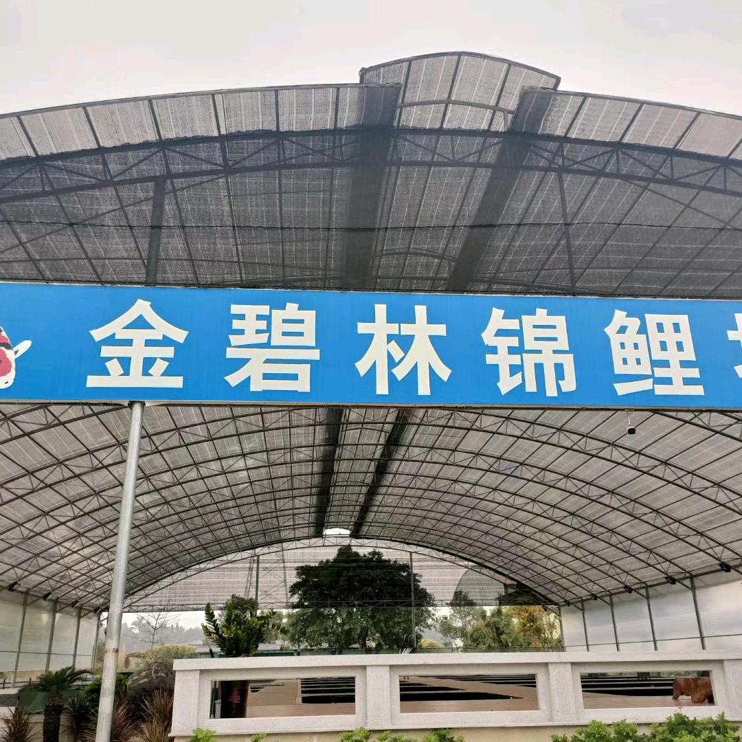 刘莉莉 22年锦鲤鱼池整体方案服务商