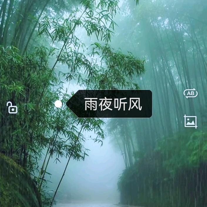 雨夜听风