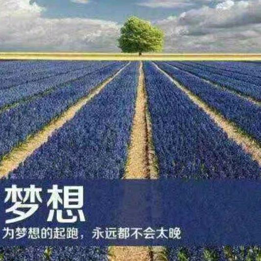 灿烂之光
