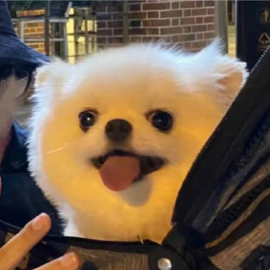 三岁就爱笑💕💕