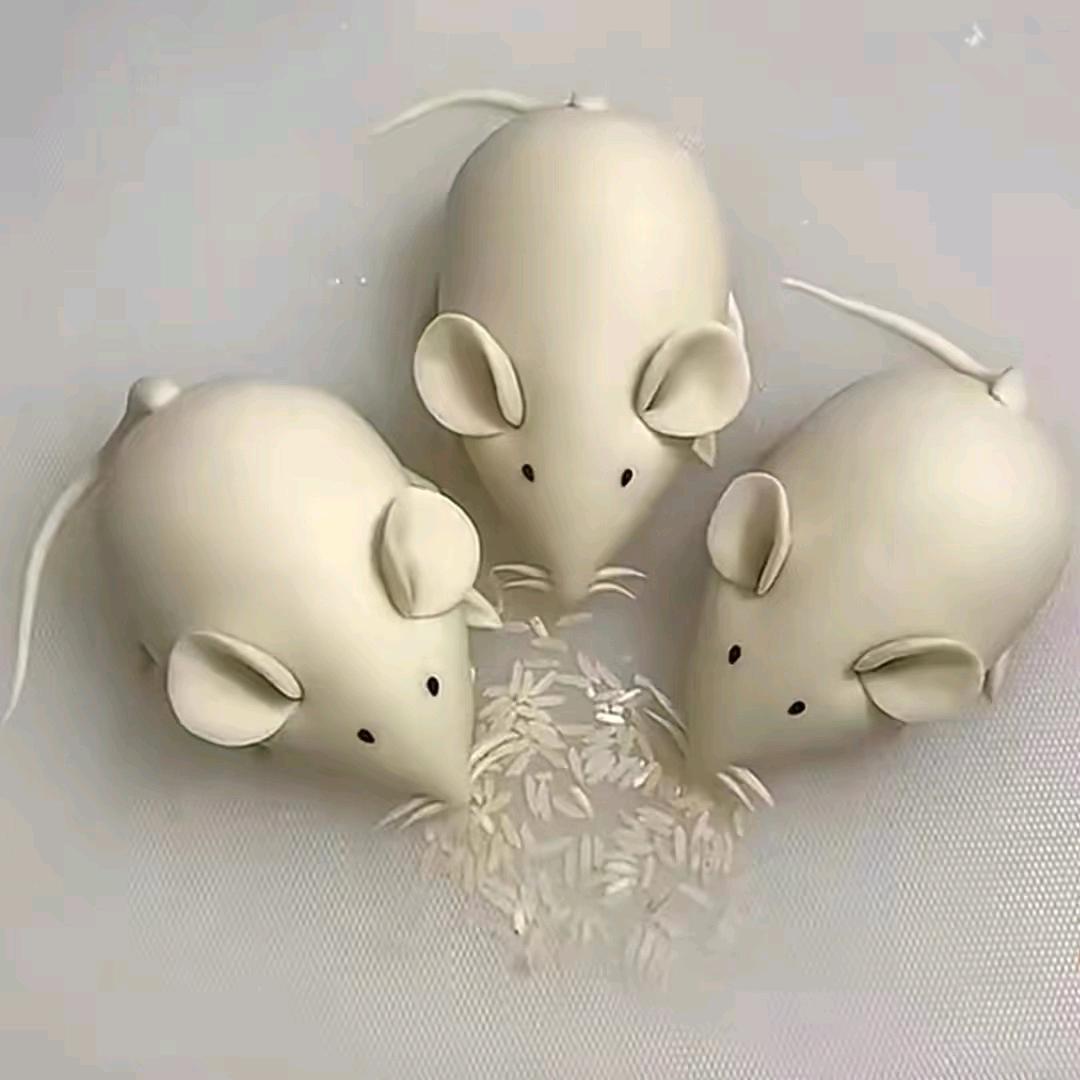 面食巧手