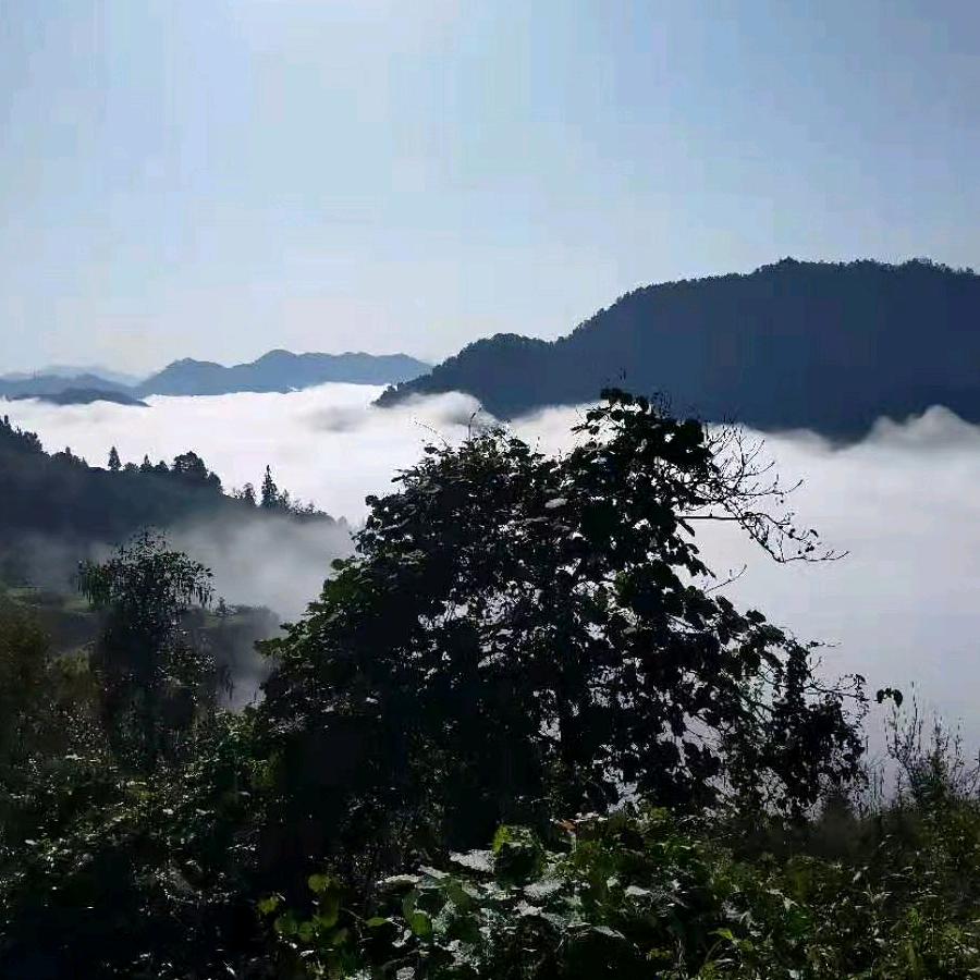 小张
