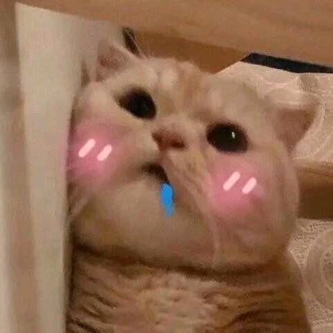 凝枂