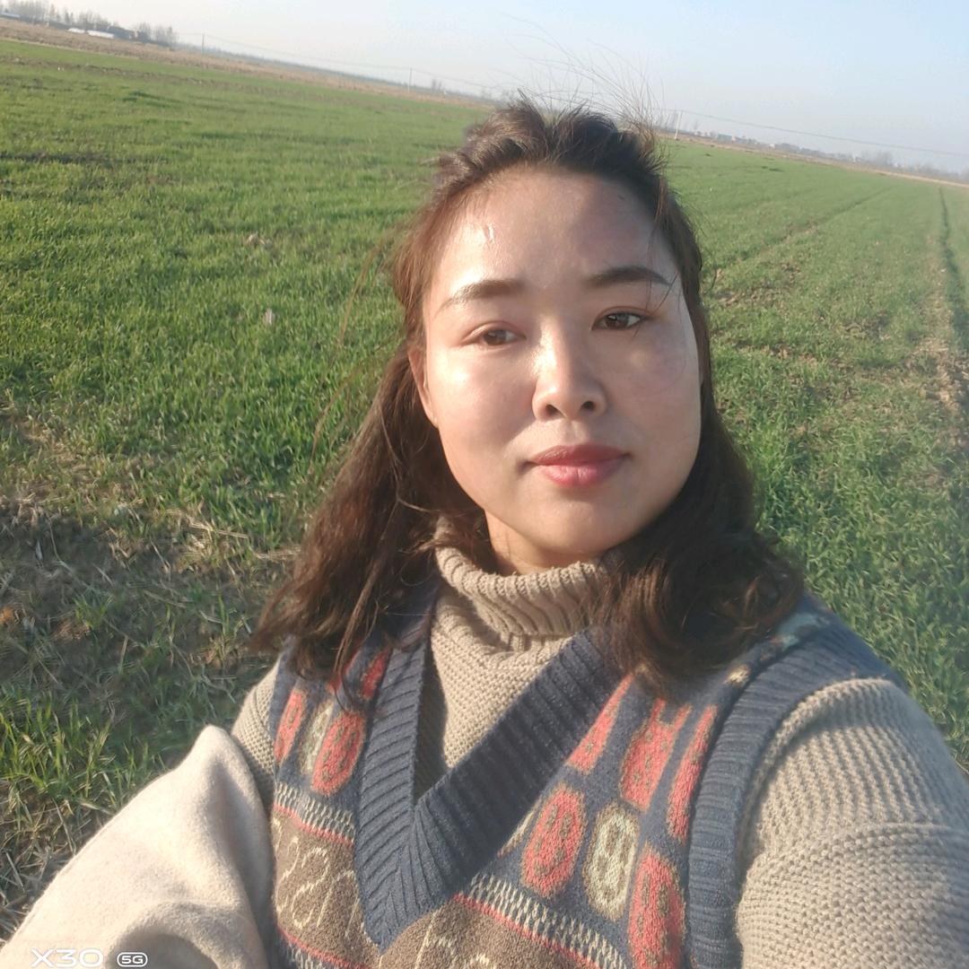 徐寨李书勤农资