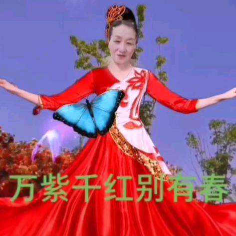 盛开🌹
