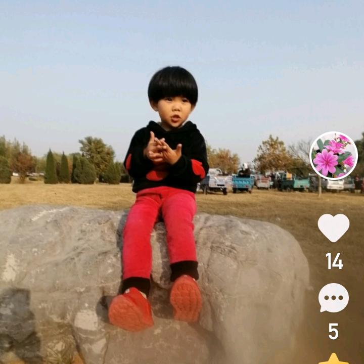 加油 三朵花 123123