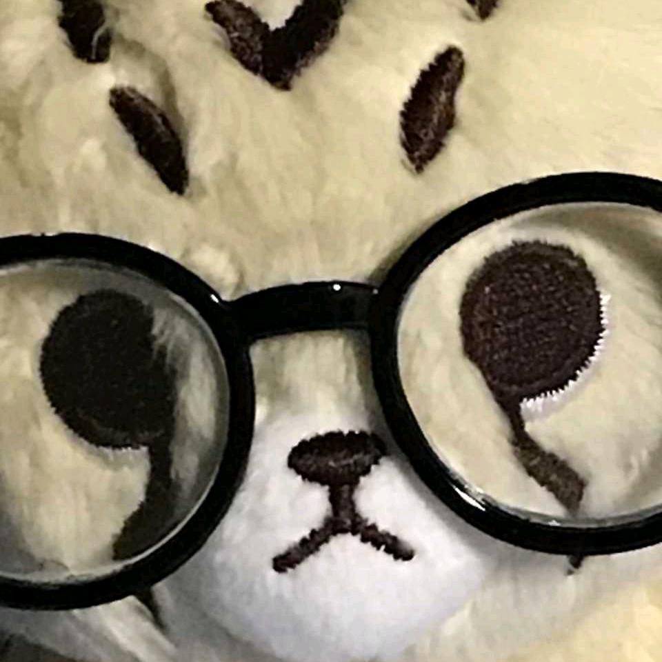 上课想吃西瓜