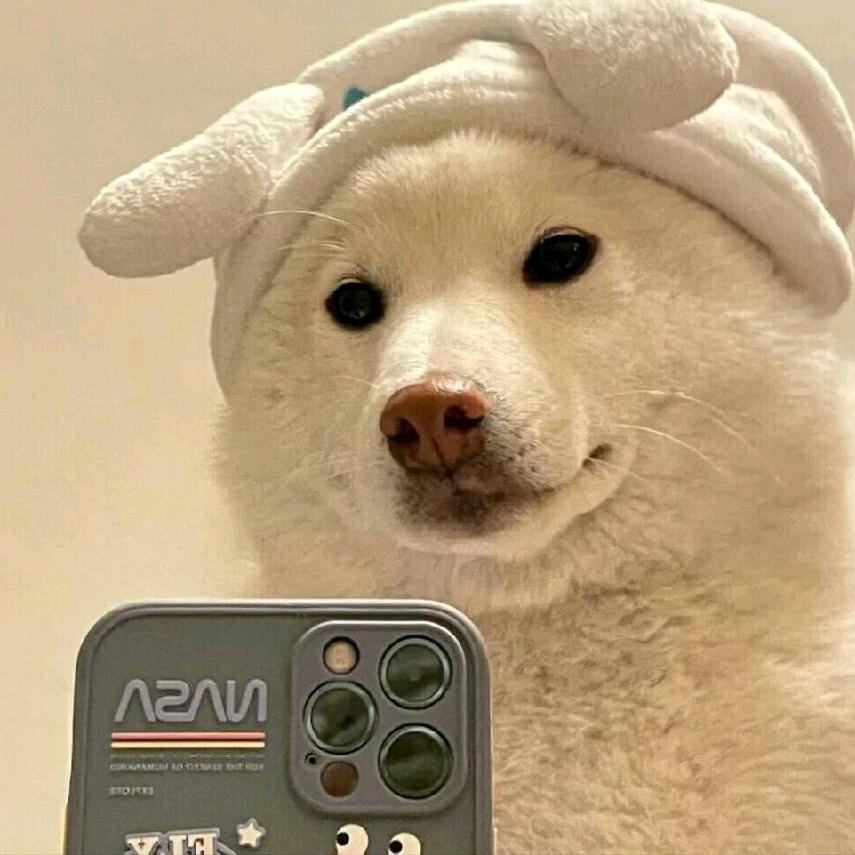 小公举