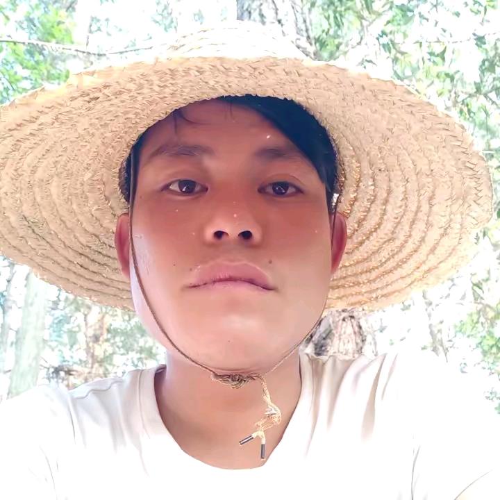 农村小杨养鸡🐔