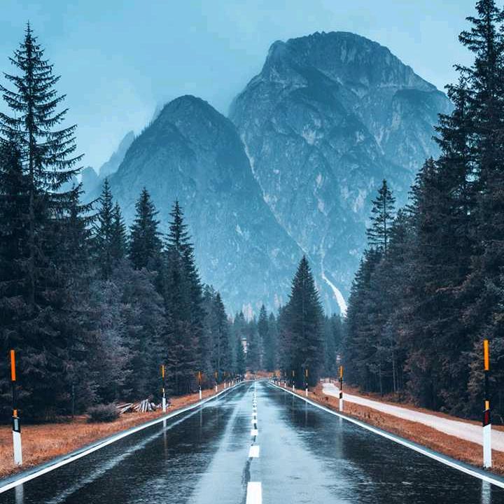 熊出没🐻