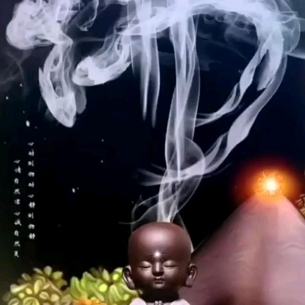 酒醉的雨滴