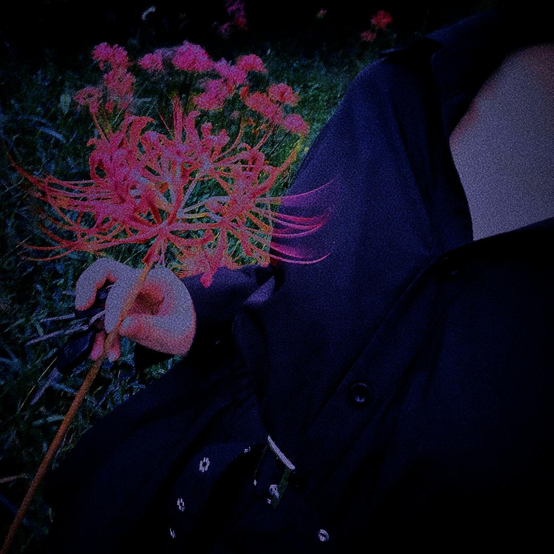 浪漫之恋