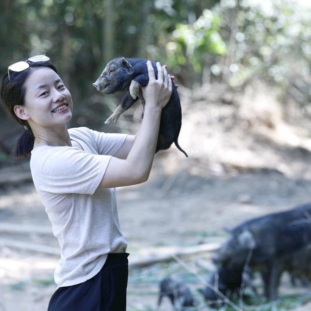 杨七妹黑土猪