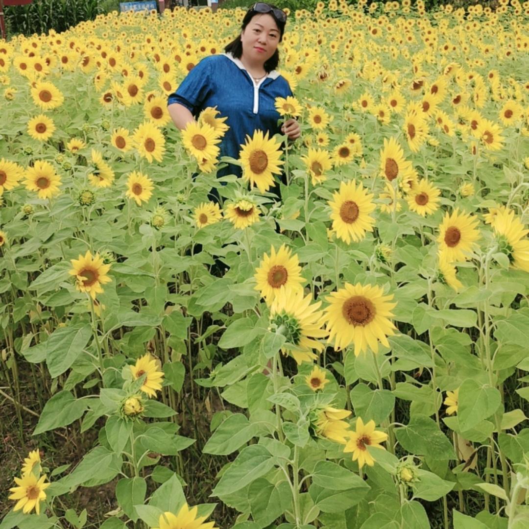 丽丽丽
