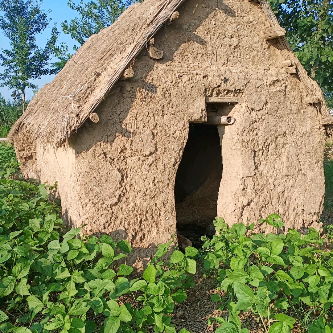 清晨的阳光《连赞拉黑》