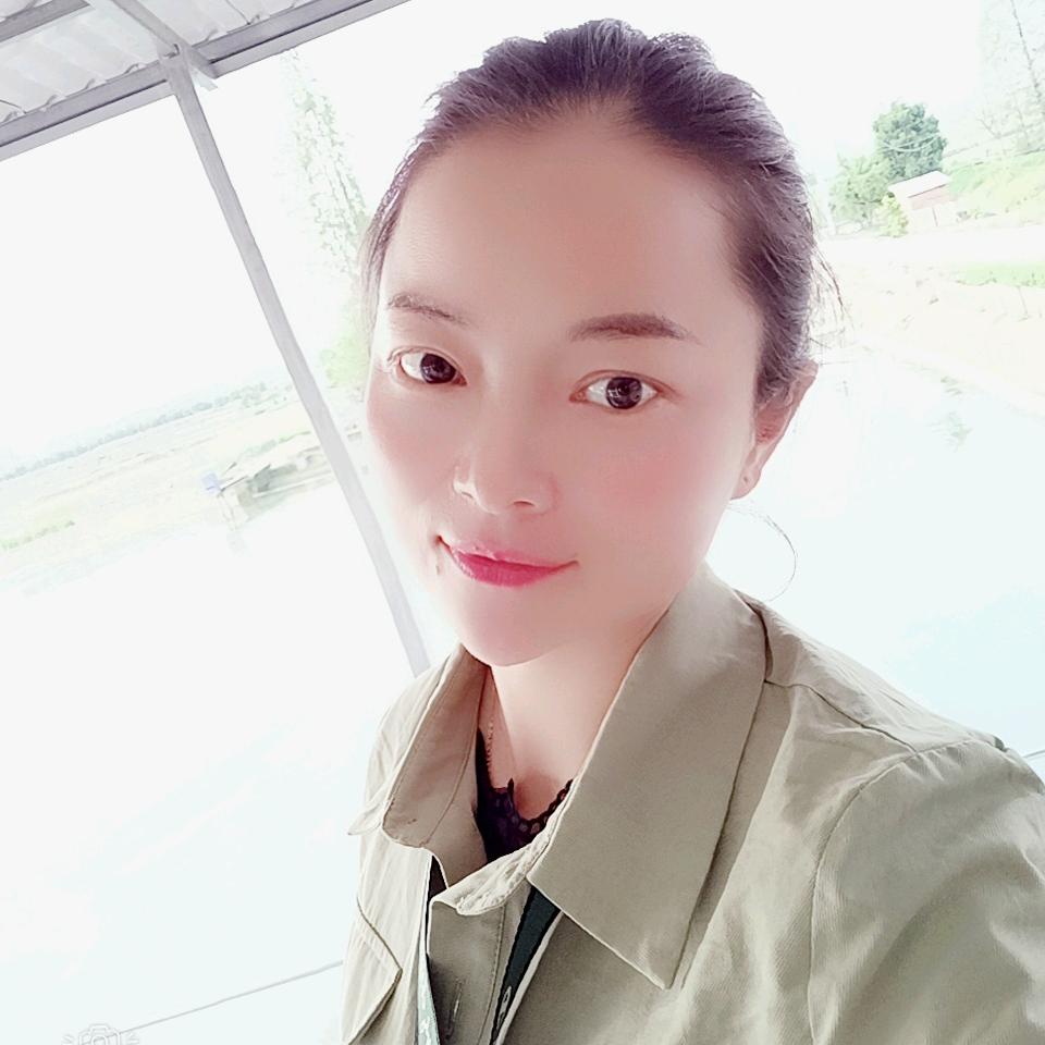 菲姐